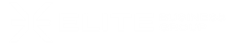 Elite Business Group